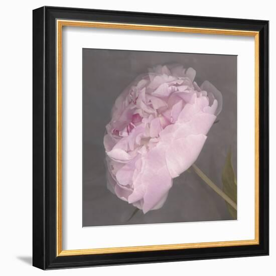 Fleur-Erin Clark-Framed Art Print