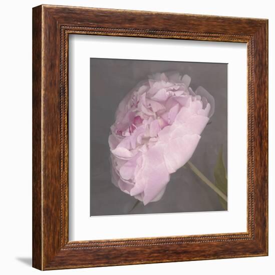 Fleur-Erin Clark-Framed Art Print