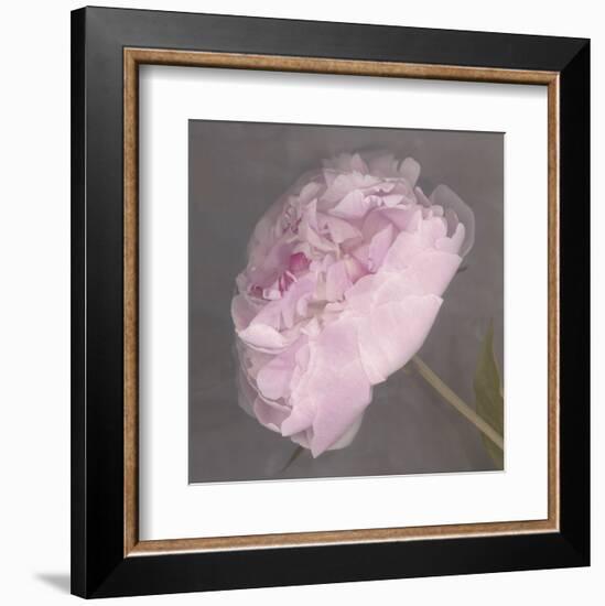 Fleur-Erin Clark-Framed Art Print