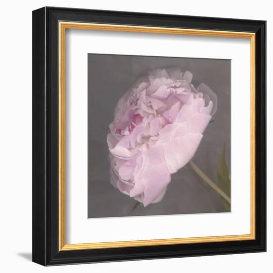 Fleur-Erin Clark-Framed Art Print