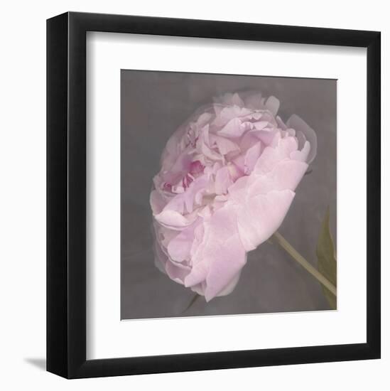 Fleur-Erin Clark-Framed Art Print