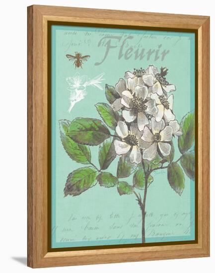 Fleurir Nouveau-Devon Ross-Framed Stretched Canvas