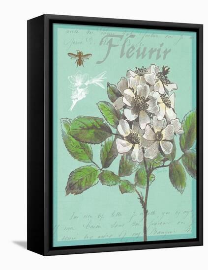 Fleurir Nouveau-Devon Ross-Framed Stretched Canvas