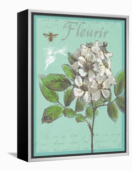 Fleurir Nouveau-Devon Ross-Framed Stretched Canvas