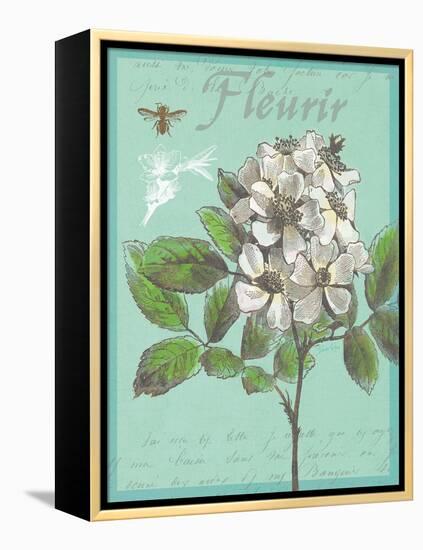 Fleurir Nouveau-Devon Ross-Framed Stretched Canvas