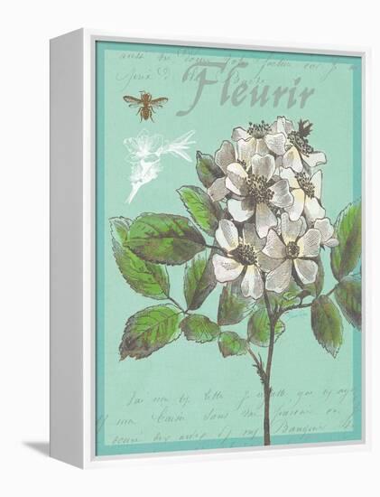 Fleurir Nouveau-Devon Ross-Framed Stretched Canvas