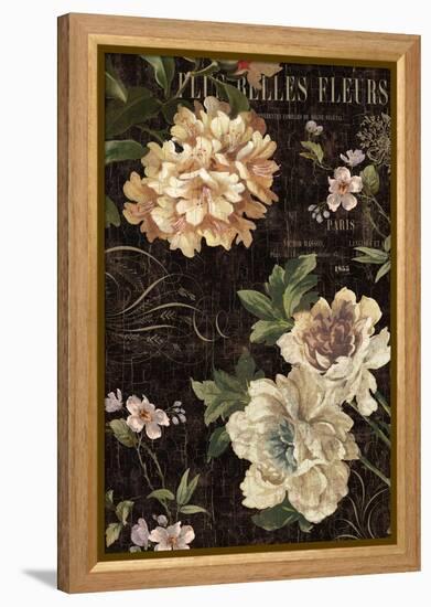 Fleurs Antique II-Deborah Devellier-Framed Stretched Canvas