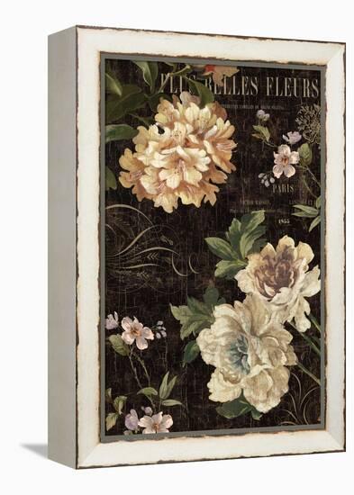 Fleurs Antique II-Deborah Devellier-Framed Stretched Canvas