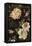 Fleurs Antique II-Deborah Devellier-Framed Stretched Canvas