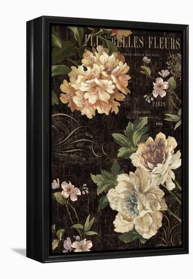 Fleurs Antique II-Deborah Devellier-Framed Stretched Canvas