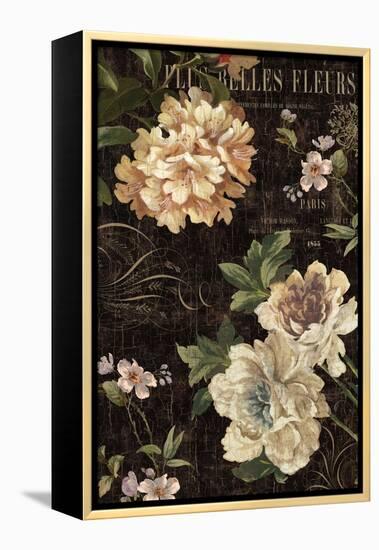Fleurs Antique II-Deborah Devellier-Framed Stretched Canvas
