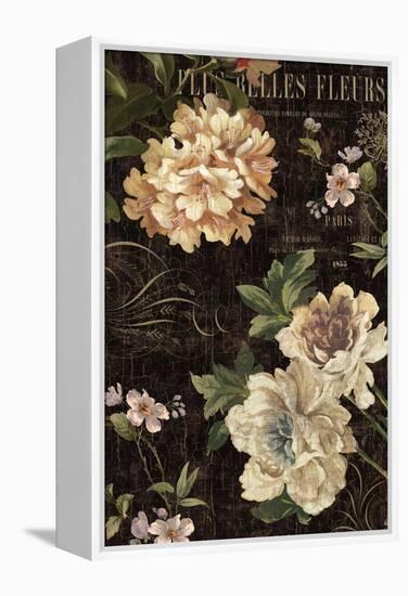 Fleurs Antique II-Deborah Devellier-Framed Stretched Canvas