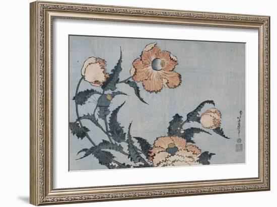 Fleurs de pavot dans la brise-Katsushika Hokusai-Framed Giclee Print