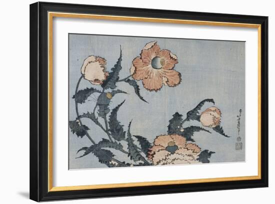 Fleurs de pavot dans la brise-Katsushika Hokusai-Framed Giclee Print