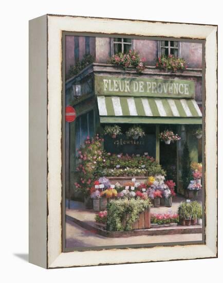 Fleurs de Provence-Unknown Chiu-Framed Stretched Canvas