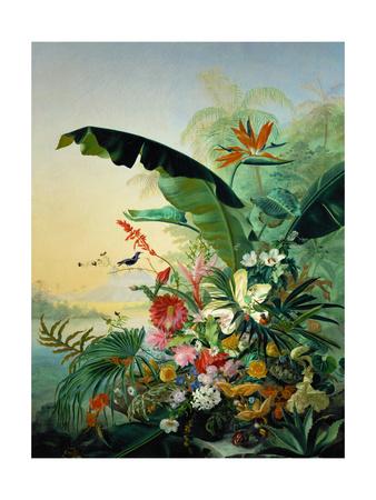 Fleurs Exotique 16 Exotic Flowers From Tropical Countries Giclee Print Jean Benner Fries Art Com