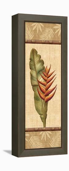 Fleurs Exotiques II-Charlene Audrey-Framed Stretched Canvas