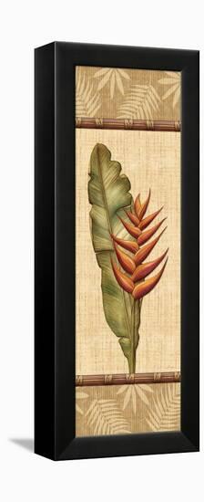 Fleurs Exotiques II-Charlene Audrey-Framed Stretched Canvas