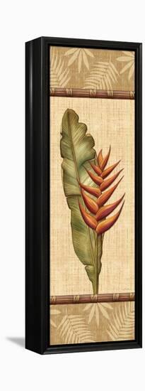 Fleurs Exotiques II-Charlene Audrey-Framed Stretched Canvas