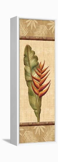 Fleurs Exotiques II-Charlene Audrey-Framed Stretched Canvas