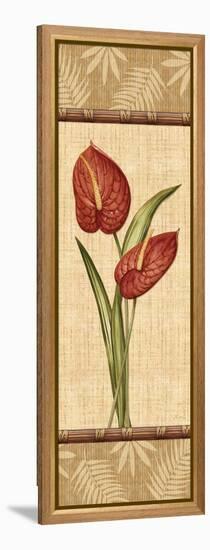 Fleurs Exotiques III-Charlene Audrey-Framed Stretched Canvas