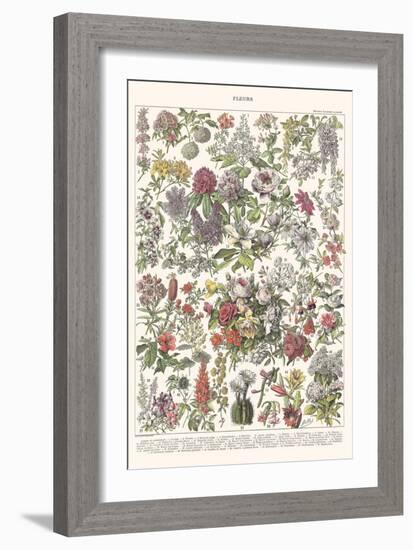 Fleurs II - ASTER Edition, 2023 (Digital)-Florent Bodart-Framed Giclee Print