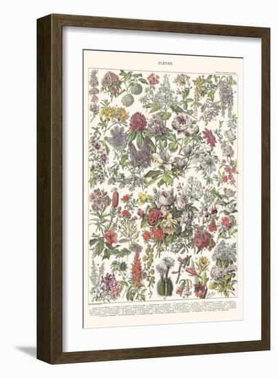 Fleurs II - ASTER Edition, 2023 (Digital)-Florent Bodart-Framed Giclee Print