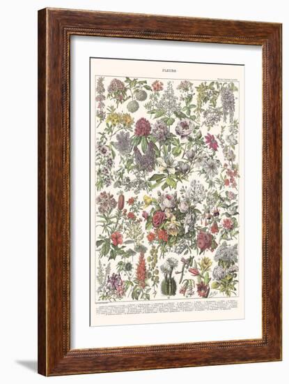 Fleurs II - ASTER Edition, 2023 (Digital)-Florent Bodart-Framed Giclee Print