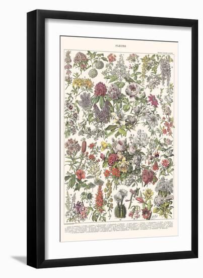 Fleurs II - ASTER Edition, 2023 (Digital)-Florent Bodart-Framed Giclee Print