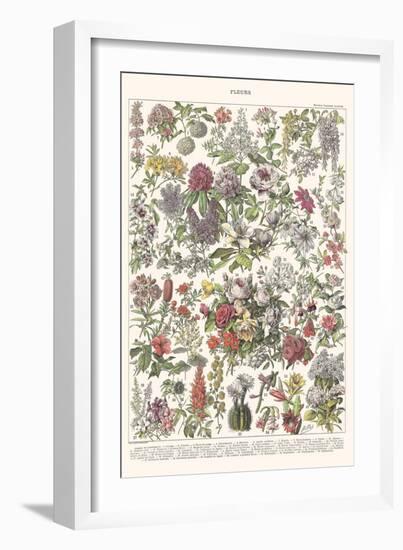 Fleurs II - ASTER Edition, 2023 (Digital)-Florent Bodart-Framed Giclee Print