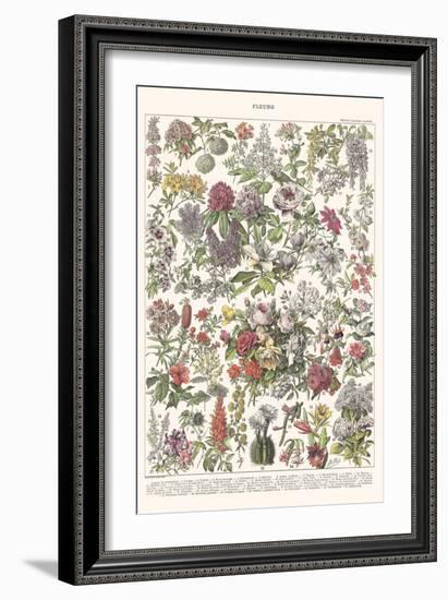 Fleurs II - ASTER Edition, 2023 (Digital)-Florent Bodart-Framed Giclee Print