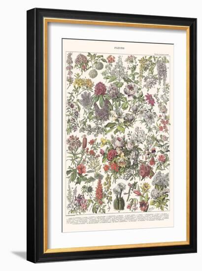 Fleurs II - ASTER Edition, 2023 (Digital)-Florent Bodart-Framed Giclee Print