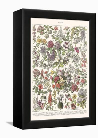 Fleurs II - ASTER Edition, 2023 (Digital)-Florent Bodart-Framed Premier Image Canvas