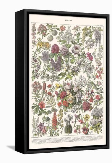 Fleurs II - ASTER Edition, 2023 (Digital)-Florent Bodart-Framed Premier Image Canvas