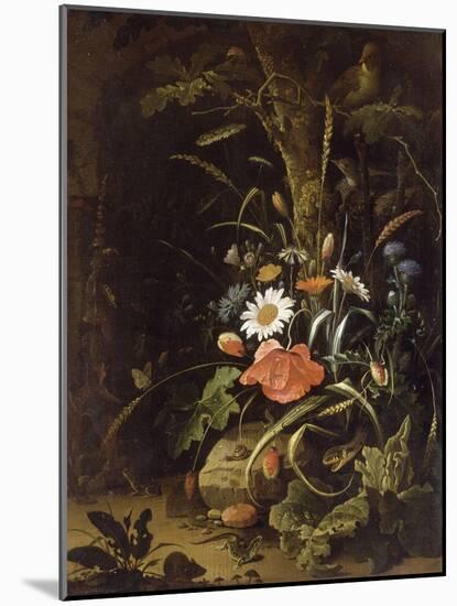 Fleurs, oiseaux, insectes et reptiles-Abraham Mignon-Mounted Giclee Print