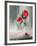 Fleurs Roses-Jean-claude Bligny-Framed Limited Edition