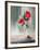 Fleurs Roses-Jean-claude Bligny-Framed Limited Edition