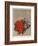 Fleurs rouges-Yannick Ballif-Framed Collectable Print