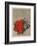 Fleurs rouges-Yannick Ballif-Framed Collectable Print