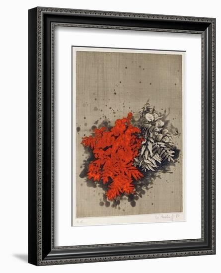 Fleurs rouges-Yannick Ballif-Framed Collectable Print