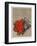 Fleurs rouges-Yannick Ballif-Framed Collectable Print