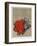 Fleurs rouges-Yannick Ballif-Framed Collectable Print