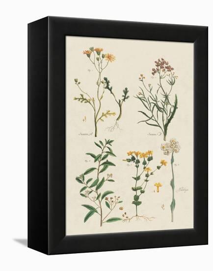 Fleurs Sauvages I-Maria Mendez-Framed Stretched Canvas