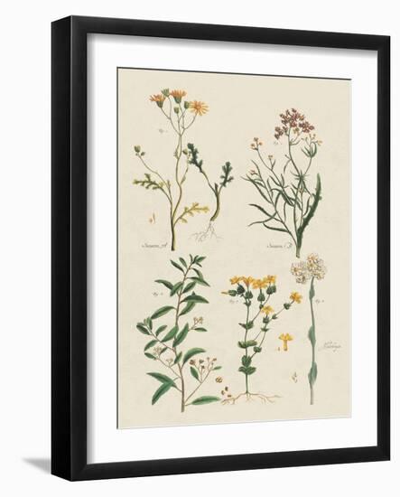 Fleurs Sauvages I-Maria Mendez-Framed Art Print