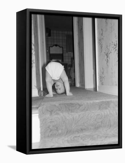 Flexible Baby-Philip Gendreau-Framed Premier Image Canvas