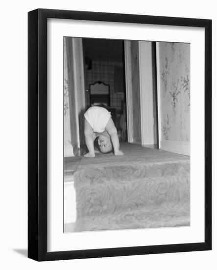 Flexible Baby-Philip Gendreau-Framed Photographic Print