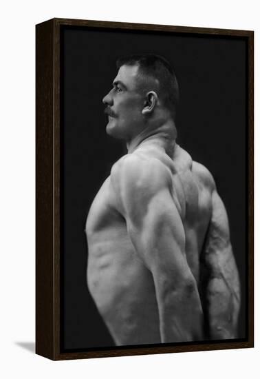 Flexing Triceps, Deltoids, and Trapezius-null-Framed Stretched Canvas