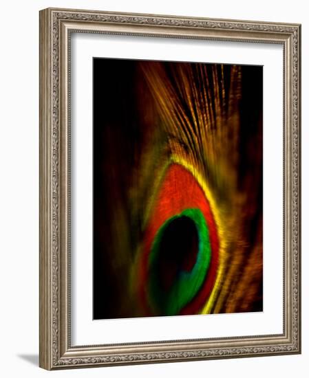 Flight Abstraction-Clive Nolan-Framed Photographic Print