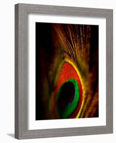 Flight Abstraction-Clive Nolan-Framed Photographic Print