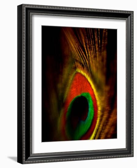 Flight Abstraction-Clive Nolan-Framed Photographic Print